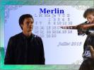 Merlin Calendriers 2015 