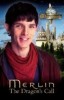 Merlin Livres Jeunesse parus au Royaume-Uni 