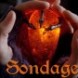 Sondage