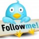Merlin-Hypnoweb arrive sur Twitter