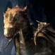 Conseils du Grand Dragon