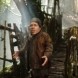 D�claration de Warwick Davis