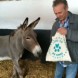 Hungryhorse Outside
