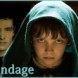Sondages