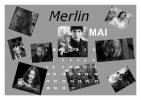 Merlin Calendriers 2012 