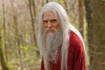 Merlin Vieux Merlin / Emrys 