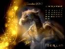 Merlin Calendriers 2013 