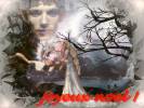 Merlin Autres fonds d'�cran 