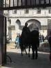 Merlin Tournage Saison 4 