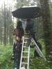 Merlin Tournage Saison 4 