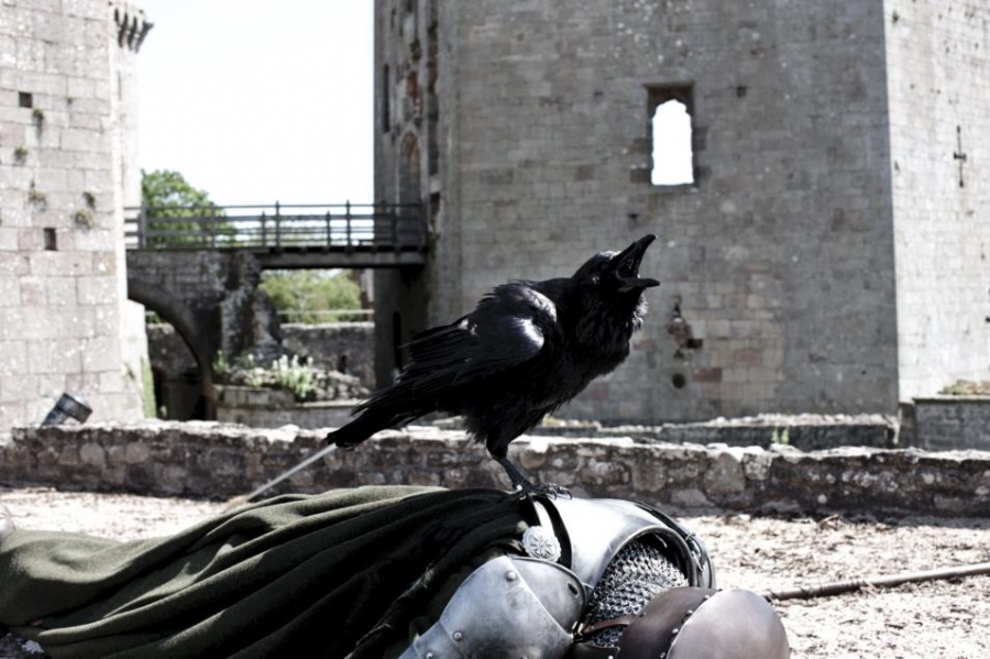 Le corbeau de Morgane - Le sortilège de Morgane